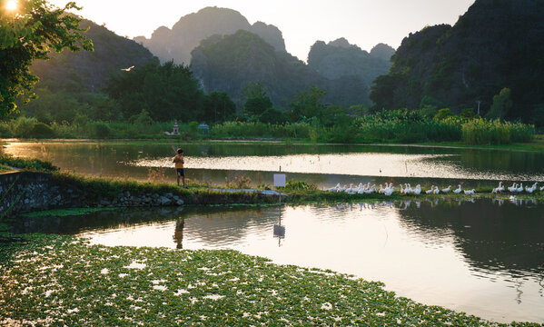Boy kiting along ducks beside a lake settled along the karst mountains of Ninh Binh, Vietnam