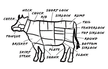 牛のシルエットと牛肉の部位を示す図