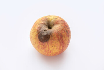 Rotting apples, decay and food waste concept. Apple isolated on white.