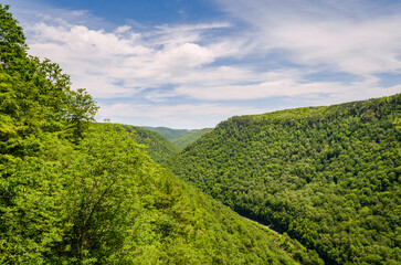 Obraz premium Pine Creek Gorge, or the The Grand Canyon of Pennsylvania, USA