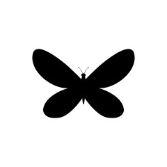 Butterfly icon isolated on transparent background