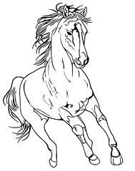 Obraz na płótnie Canvas horse line art (56)