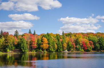 Obraz premium The Parker Dam State Park in Huston Township, Clearfield County, Pennsylvania in the United States, Surrounded by Moshannon State Forest