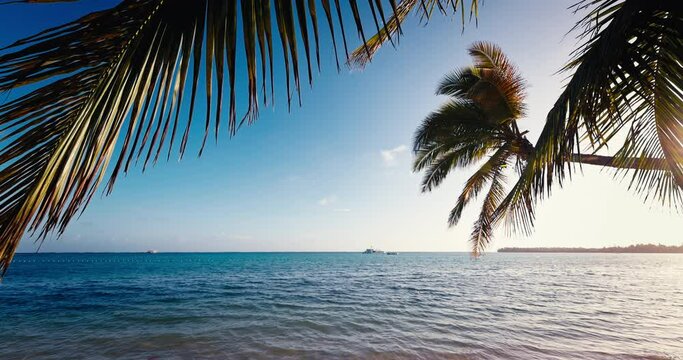 Seascape view toward caribbean sea from paradise tropical island beach shore with palm trees 4k video 