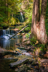 Naklejka na ściany i meble Beautiful Waterfall at Ricketts Glen State Park, in Columbia, Luzerne, and Sullivan counties in Pennsylvania