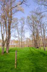 Obraz premium Pithole, a ghost town in Cornplanter Township, Venango County, Pennsylvania, United States