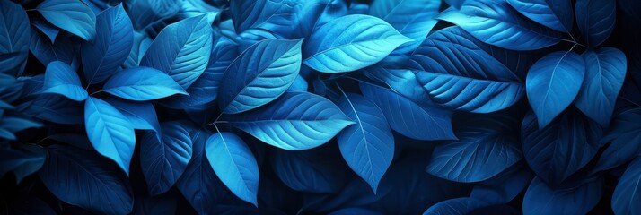 Blue Jungle Leaves On Background Next, Banner Image For Website, Background, Desktop Wallpaper