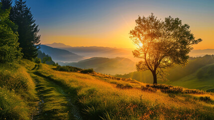 A beautiful morning paysage of the naure