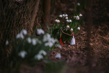 Natural spring trinket. Decorated garden snowdrop for the spring festival. Galanthus plicatus...
