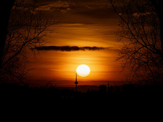 Perfekter Sonnenuntergang eingerahmt von B&auml;umen