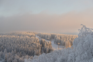 Winter landscape from the mountain called Kahler Asten in the city Winterberg in the morning.