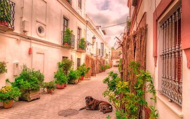 Fototapete bei efototapeten.de bestellen   