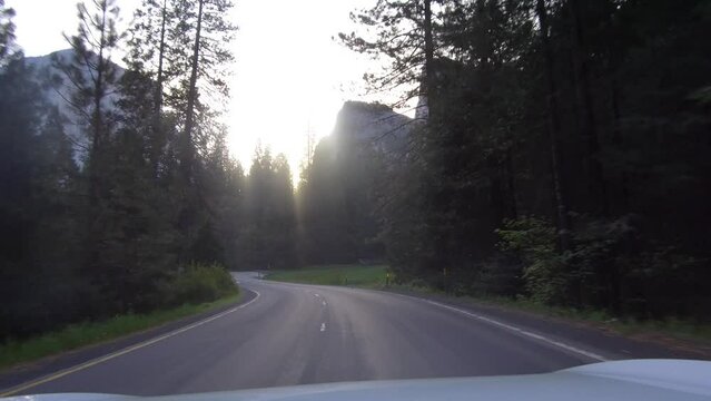 Yosemite California, early morning deserted road approaching El Capitan moutain. Car POV in the forest, sunrise, california road