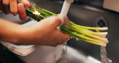 Chef hands, wash spring onion and sink for dirt, virus or bacteria for safety, cooking and meal prep. Person, closeup and cleaning vegetable in water, faucet or kitchen for catering at restaurant job - obrazy, fototapety, plakaty