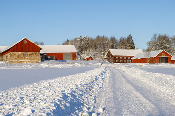 Country road landscape in a cold and frosty winter day - 716422604