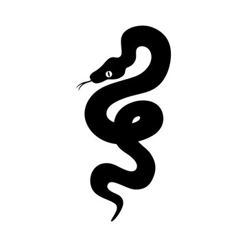 Snake icon vector. Spineless illustration sign. Reptile symbol or logo.
