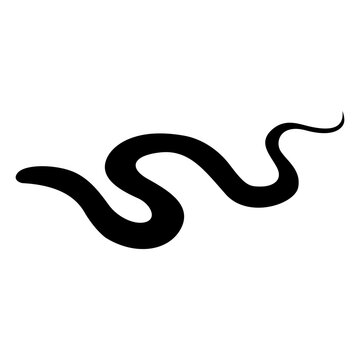 Snake icon vector. Spineless illustration sign. Reptile symbol or logo.