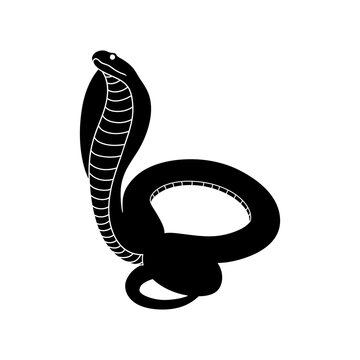 Snake icon vector. Spineless illustration sign. Reptile symbol or logo.