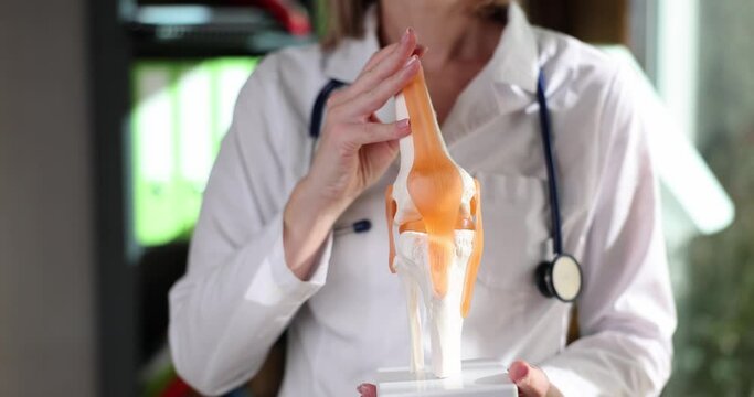 Orthopedic doctor pointing at knee joint anatomy model. Physiotherapy concept for arthritis and bone pain