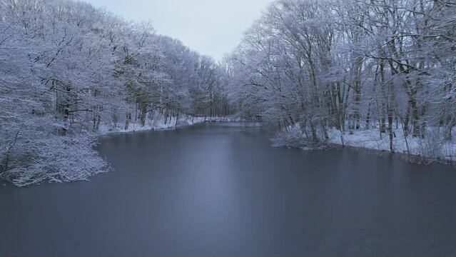 Flying through trees in winter snow landscape towards over frozen river