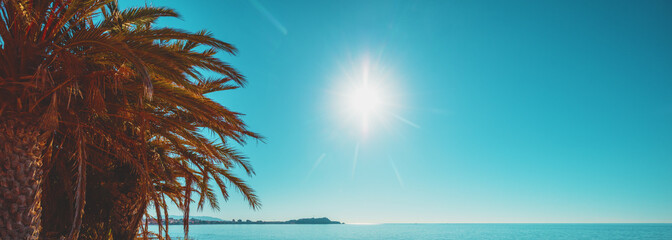 Seascape on a sunny day with a clear blue sky. Palm trees on the beach. Horizontal banner