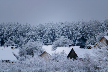 houses in the forest in winter