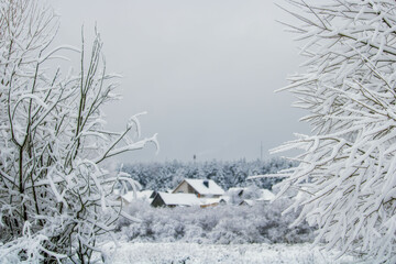 houses in the forest in winter