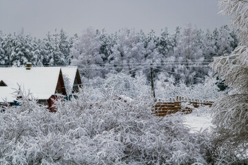 houses in the forest in winter