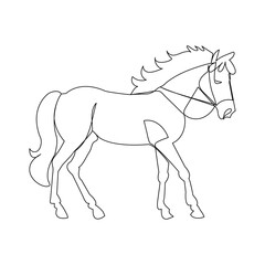 Horse continuous one line drawing outline vector illustration