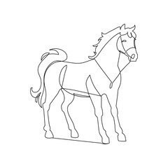 Horse continuous one line drawing outline vector illustration