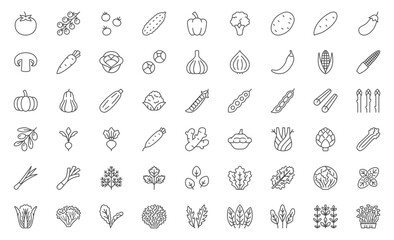 Vegetables line icon set. Tomato, cherry, cucumber, pepper, broccoli, potato, carrot, cabbage, asparagus minimal vector illustrations. Simple outline signs for natural organic food. Editable Stroke - 716440056