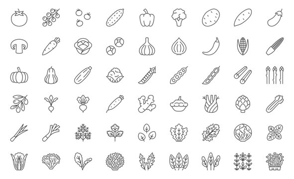 Vegetables line icon set. Tomato, cherry, cucumber, pepper, broccoli, potato, carrot, cabbage, asparagus minimal vector illustrations. Simple outline signs for natural organic food. Editable Stroke