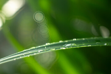 Full frame shot of water on metal, Close-up of bubbles on railing against landscape,Rear view of...