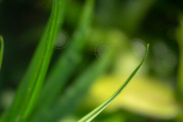 Full frame shot of water on metal, Close-up of bubbles on railing against landscape,Rear view of...