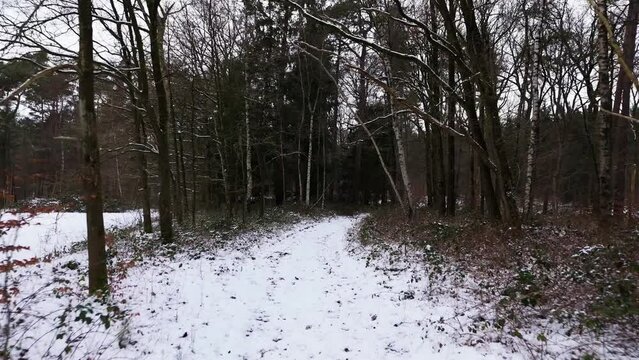 Flying through forest path with snow and ice in winter