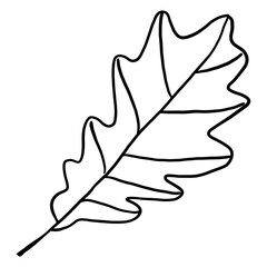 Leaf