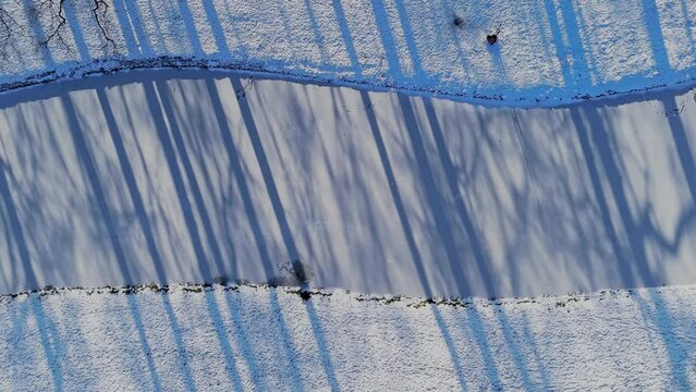 Frozen river with tree shadows, Aerial topdown