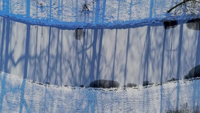 Frozen river with tree shadows, Aerial topdown