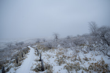 美しい雪景色の高原　霧ヶ峰高原
