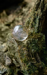 Crystal ball on tree stump in forest, abstract natural background. magic prediction crystal ball...