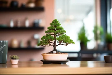 Foto op Plexiglas anti-reflex freshly repotted bonsai tree with soil and pot in view © primopiano