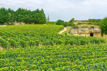 Fototapeta na wymiar Vineyards and of wine cellars, France