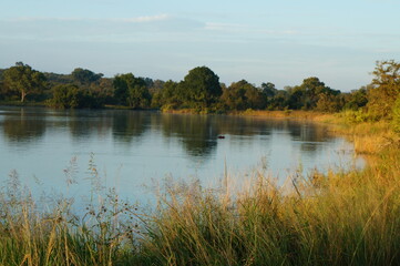 Kruger National Park, South Africa, Africa 