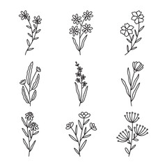 plant hand drawn vector set	
