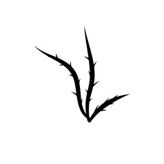 Thorn Silhouette