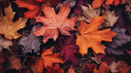 Naklejka na ściany i meble Colorful autumn leaves on the ground background fallen leaves