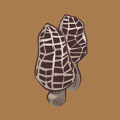 mushroom illustration