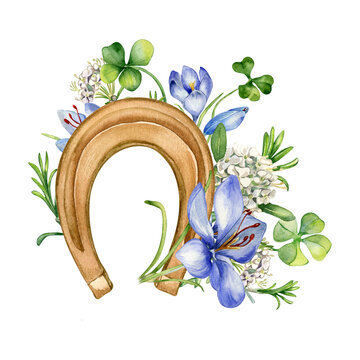Lucky symbol horseshoe and crocus watercolor illustration isolated on white. Painted shamrock with flowers. Irish symbol four leaves clover hand drawn. Design for St.Patricks day,Easter, springtime