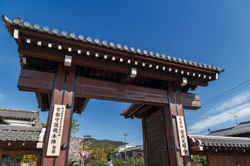 京都 金戒光明寺の高麗門（総門）