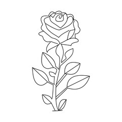 Rose flower continuous one line drawing  outline vector illustration